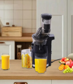 250W Electric Slow Juicer for Fruit and Vegetables - 45 RPM